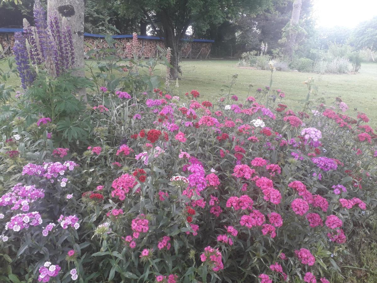 B&B Buddleja Saint-Hilaire-les-Places Esterno foto
