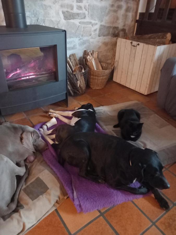 B&B Buddleja Saint-Hilaire-les-Places Esterno foto